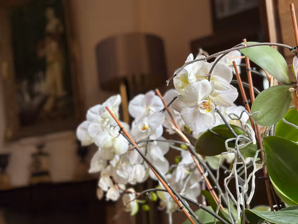 Arrangement floral