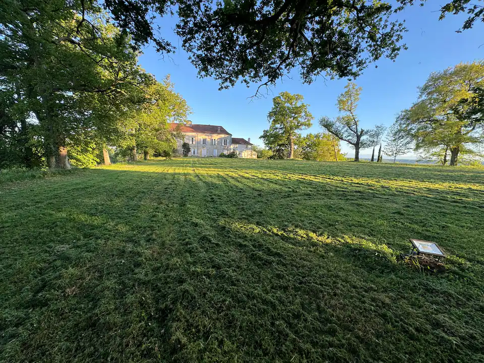Sérénité sous les Cèdres