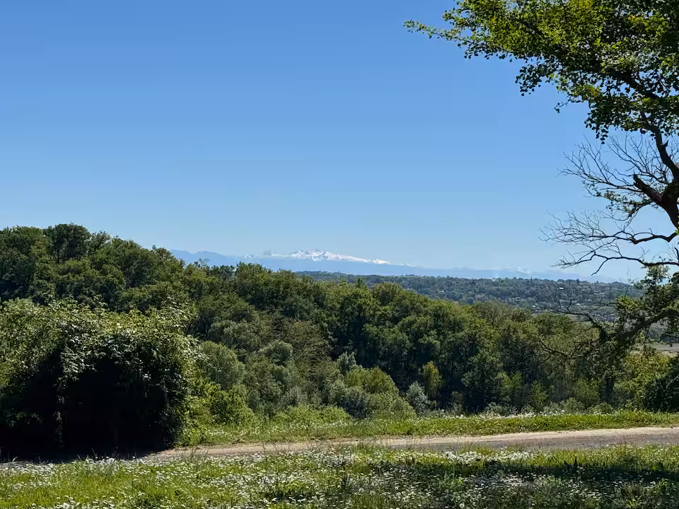 Les collines vallonnées du Gers et l'horizon gascon depuis le domaine